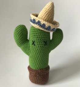 Pedro le cactus porte épingles
